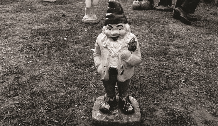  The great garden gnome hunt