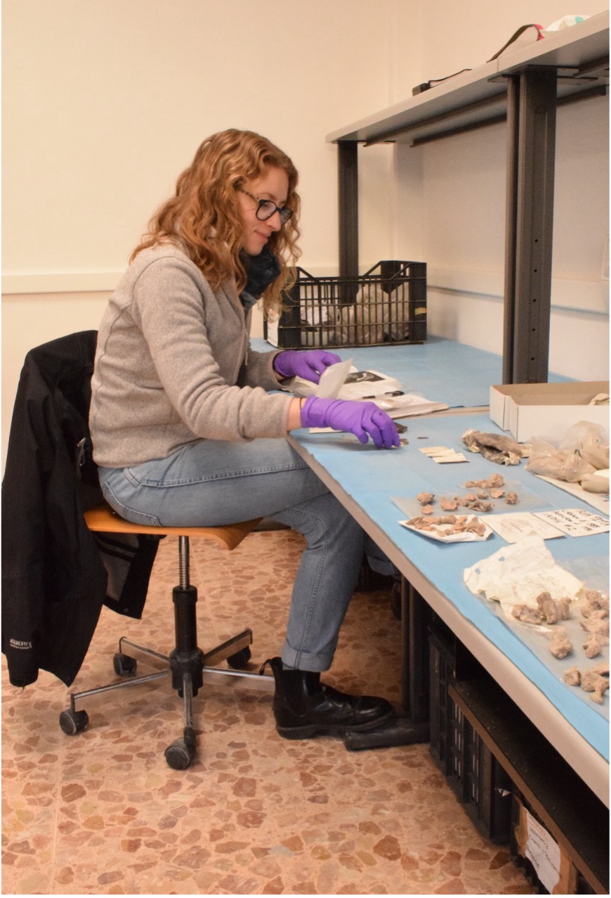 Dr Jess Thompson sitting at a desk working. On the desk are a collection of fragmented archaeological bone and small plastic bags. 