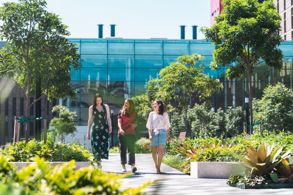 Three people walking through the verdant Central Courtyard of Macquarie's Wallumattagal campus.