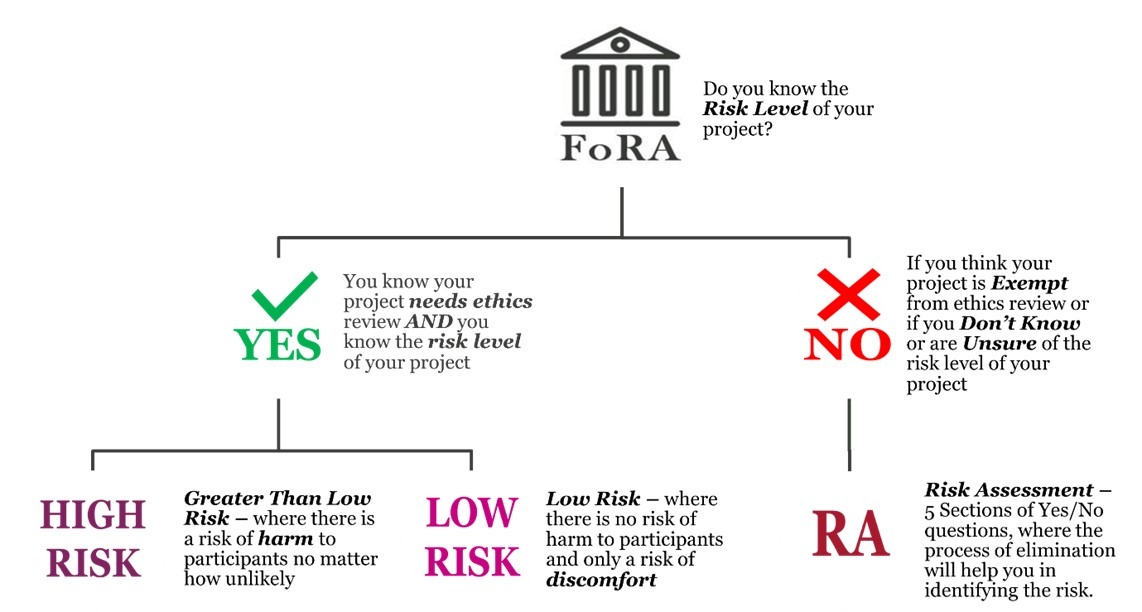 Workflow of Human Research Ethics review pathways