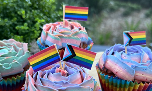 Four cupcakes decorated with rainbow icing and pride and progress flags on toothpicks.