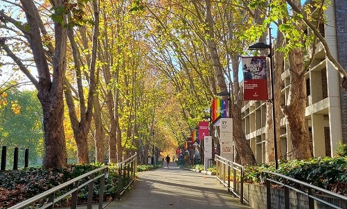 Wally's Walk in Autumn