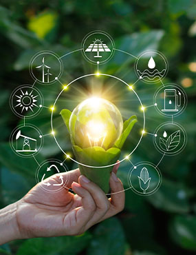 A hand holding a light bulb in a plant, with sustainable icons added to the image.