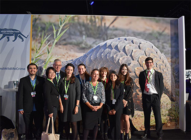 A group of people in front on an image of a Pangolin