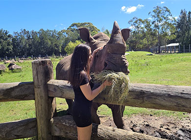 Dr Bending's PhD investigated rhinoceros horn trafficking