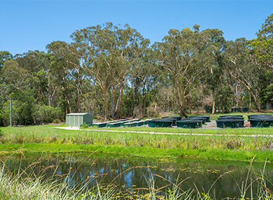 A grassy outdoor area with a shed and several large green circular buckets.