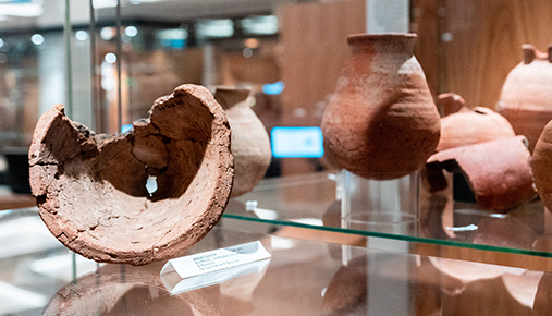 Pieces of ancient pottery on display in a glass case at the Museum