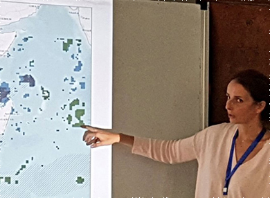 A lecturer pointing at a map