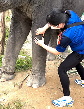 Valerie Teo touching an elephants knee