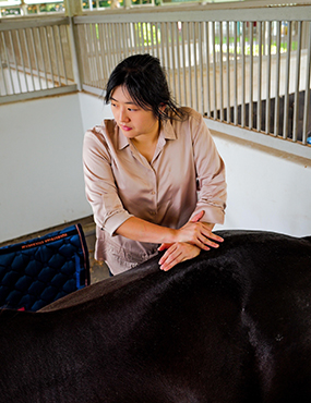 Valerie Teo putting pressure on a horses spine with her hands