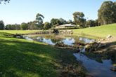 Campus Sustainability Tour