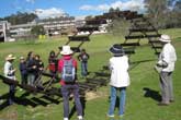 Macquarie University Sculpture Park Walking Tour