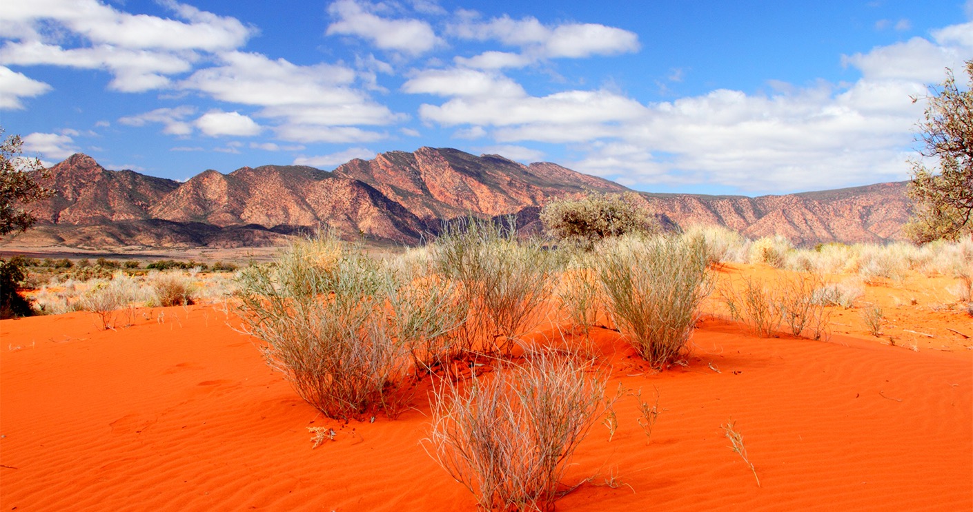 Great desert. Симпсон Дезерт национальный парк Австралии. Пустыня Гибсона в Австралии. Пустыни и полупустыни Австралии.